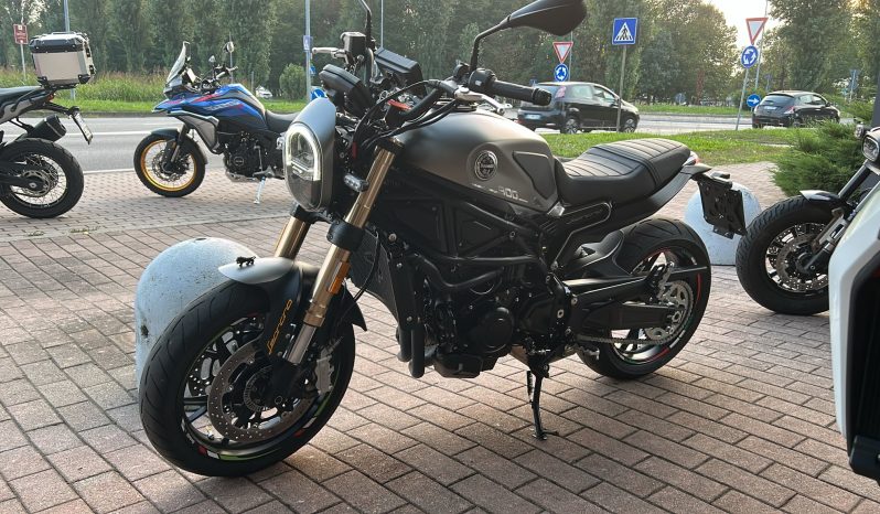 LEONCINO 800